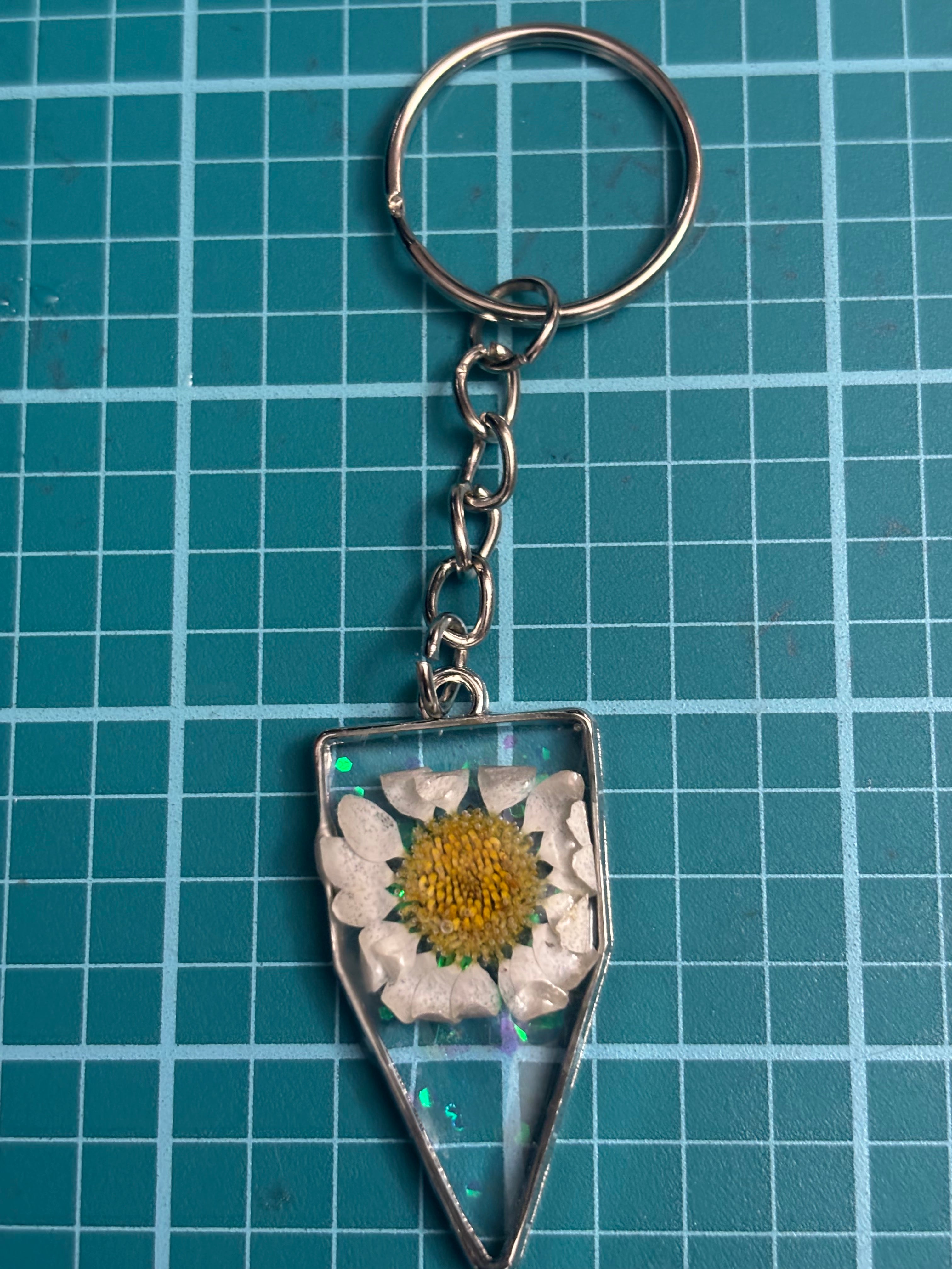 Moon daisy
