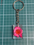 Rose fire bloom